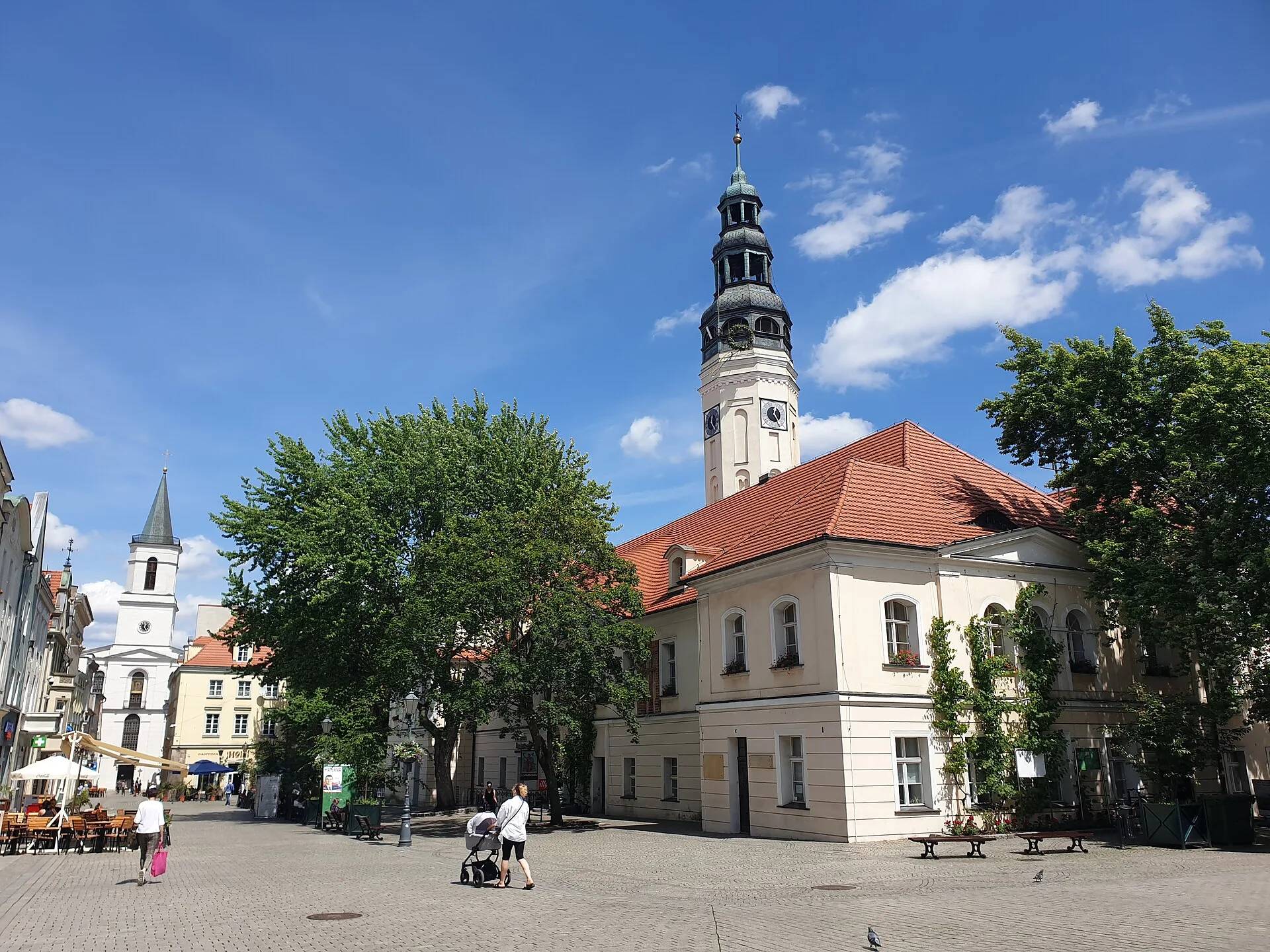 Zielona Góra - widok miasta